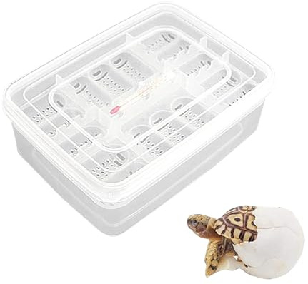 Bandejas de huevos para incubación de reptiles,Bandeja de incubadora de | huevos de reptil,Incubadora de huevos transparente con 16 rejillas - de incubación, bandeja para incubación, estuche de co