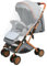 3 in 1 Buggy bis 10 kg mit Liegefunktion, Kinderwagen klein zusammenklappbar mit Zubehör, Eva-Schaum-Räder, Moskitonetz, Getränkehalter, Korb (Grau)