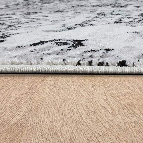 Paco Home Designer Teppich Wohnzimmer Teppiche Ornamente Vintage Optik Schwarz Weiß, Grösse:120x170 cm