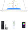 50 cm 36 W LED Pendelleuchte mit doppelten Bluetooth-Lautsprechern, kompatibel mit Amazon Alexa und Google Home, dimmbar, App-Fernbedienung, moderner WLAN-Smart-Kronleuchter