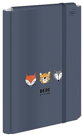 Interdruk - A4 File Box for Children - Rigid Folder with Elastic Strap - Collector's Box with Elastic Band - BB Friends Boys