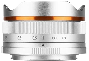 Compatibile con obiettivo manuale grandangolare fisheye APS-C Sony E Mount 10mm F5.6(Silver,RF)
