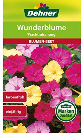 Dehner Blumen-Saatgut, Wunderblume Prachtmischung, 5er Pack (5 x 3 g)