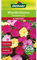 Dehner Blumen-Saatgut, Wunderblume Prachtmischung, 5er Pack (5 x 3 g)