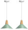 LIGKIN 2 Piezas Lámpara Colgante Industrial Moderna Ø25cm Pantalla Metal Madera Lámpara de Techo Retro E27 Iluminación para Cocina Comedor Cafetería (Verde)