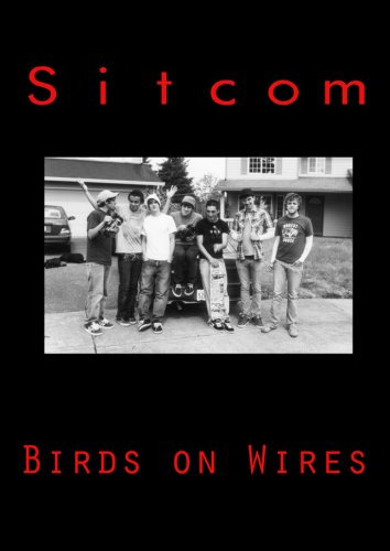 Sitcom: Birds On Wires