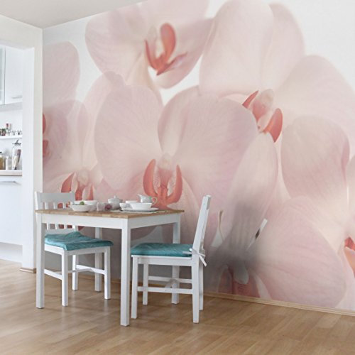 Bilderwelten Vliestapete Top Orchideen Tapeten 290 x 432 cm Svelte Orchids