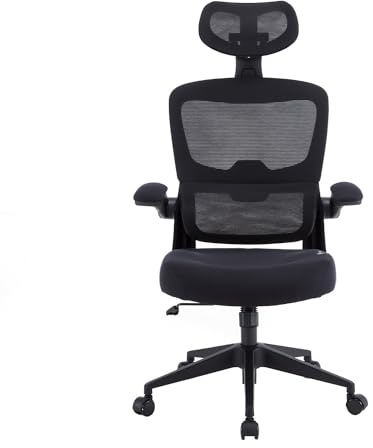 Woxter Ergo Black Schreibtischstuhl, ergonomisch, Schwarz