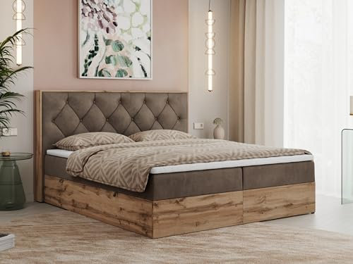 MKS MEBLE Boxspringbett 200x200 cm mit Bettkasten Wotan Eiche, Doppelbett mit Kopfteil, Matratze H3 mit Topper T25, Matratzenaufbau, Polsterbett mit Stauraum - Braun Velvet - Veneto