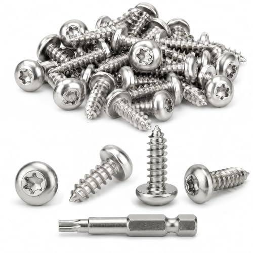 Dayalo Lot de 120 vis à tête bombée Torx en acier inoxydable A2 V2A M4 x 10 mm - Vis autotaraudeuses avec embout pour bois, plastique et métal fin