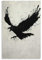 Ydqkxm Raven Crow Poster auf Leinwand, Wandkunstdrucke für Wanddekoration, Raumdekoration, Schlafzimmer, Dekoration, Geschenke, Poster, 40 x 60 cm, ungerahmt