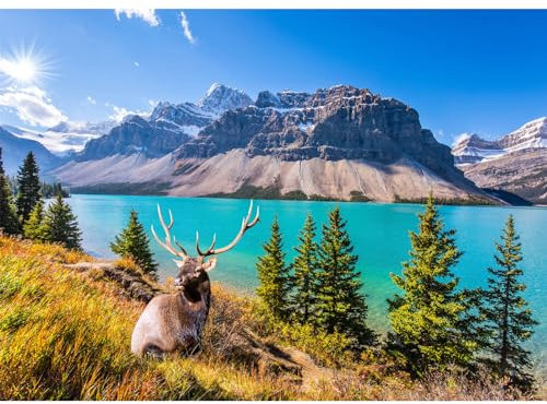 Puzzle 1000 Teile, Erwachsene und Kinder Puzzle 1000 Teile,High Difficulty Familienpuzzle,Buntes Geschicklichkeitsrätselspiel-Felsiger Bergsee