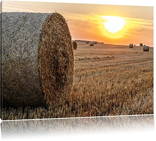 Pixxprint des balles de Paille Image de Champ sur sur Toile, Format XXL Support en Bois, Leinwand Format:120x80 cm