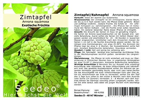 Seedeo® Zimtapfel/Rahmapfel (Annona squamosa) 25 Samen