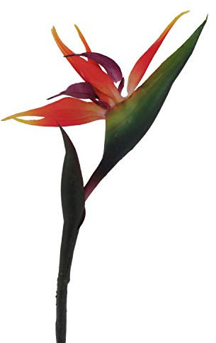 Gasper Kunstpflanze Strelitzie in der Farbe: Rot, Höhe: 83 cm, 3016281-00