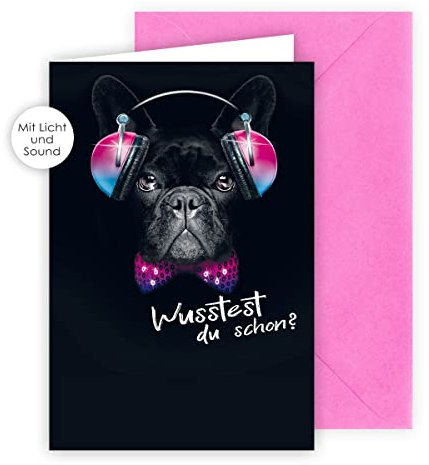 KE AV Musikalische Geburtstagskarte mit Lichteffekten, Musikkarte, DIN B6 Klappkarte inklusive Umschlag, Geschenk für Hundeliebhaber, Motiv: Hund