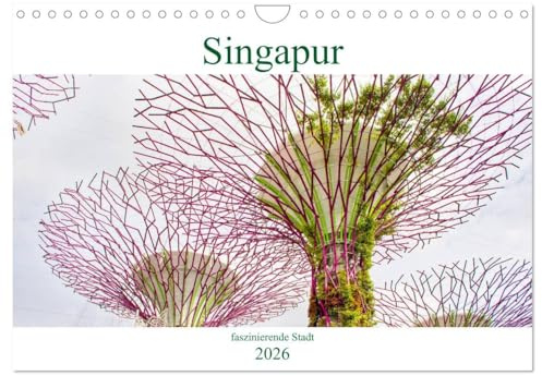 Singapur - faszinierende Stadt (Wandkalender 2026 DIN A4 quer), CALVENDO Monatskalender: Spektakuläre Bilder von Singapur. (CALVENDO Orte)