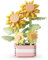 2 Pièces Mini Fleurs Blocs de Construction, Construction Fleur Bonsaï Kit Construction Bouquet Fleurs pour DIY Activité Manuelle, Plantes Succulentes, pour la Décoration de la Maison Activités
