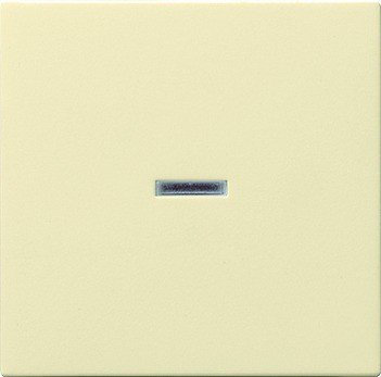 GIRA 029001 Wippe Kontrollschalter CW 4010337290018
