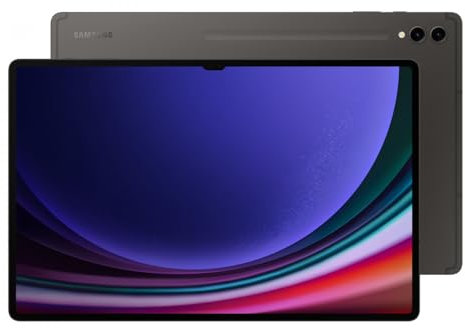 SAMSUNG Galaxy Tab S9 Ultra (14.6', 12/256GB, WiFi) - schwarz, (SM-X910NZAAEUE)