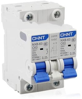 IFFSUEVL Commutateur de Transfert Manuel à Double Puissance, Petit disjoncteur à Verrouillage Domestique 220V AC(1P,10A)