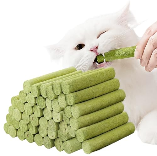 48 stycken kattgräspinnar: kattgräspinnar frystorkade snacks för tandvård och hårbollskontroll, kattgräs med kyckling, fiskolja, laxpuré, kycklinglever etc