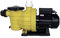 Pompe Eco Premium 0,33CV mono