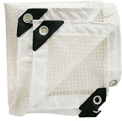 VIGAN Bâche imperméable translucide en polyéthylène pour jardin, cour, serre (2MX3M)