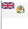 Flagge des Britischen Antarktis-Territoriums Flagge 3 x 5 Fuß Terrasse Garten Rasen Willkommen Dekoration Banner Indoor Home Party Flaggen