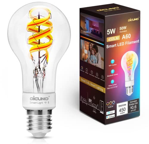 DiCUNO Smart vintage Glühbirne E27, 5W Filament A60 Edison, LED intelligente Birne 450lm, RGBCCT Dimmbar 2700-6500K, via APP steuerbar, kompatibel mit Alexa, Echo Dot, Google Home, 230V, 1er-Pack