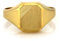 Sapphir Herren Siegelring 9 Karat Gold 375 - Glänzend Poliert und satinierte Oberfläche Siegelring für Männer - Herren Ringe - Männerschmuck Ringgröße 66 mit Geschenkbox - Inkl Zwei Luxusgeschenke