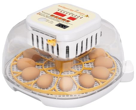 Domigard Inkubator für Eier - Brutautomat Vollautomatisch für 12 Eier, mit Eier Wenden, Temperatur & Luftfeuchtigkeitskontrolle, transparenter 360° Deckel, Brutautomat für Hühner, Enten & andere Vögel