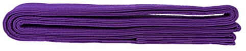 Courtieyeardceastea Taekwondo Gürtel Karate Kampfsport Aikido Double Wrap Belt Lila 280x3,85cm