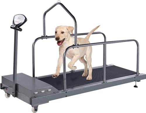 Laufband für große Hunde, Laufband für mittelgroße Hunde, Laufband für kleine und mittelgroße Hunde, Laufband für kleine und mittelgroße Hunde, Laufband für den Innenbereich (Farbe: C300)