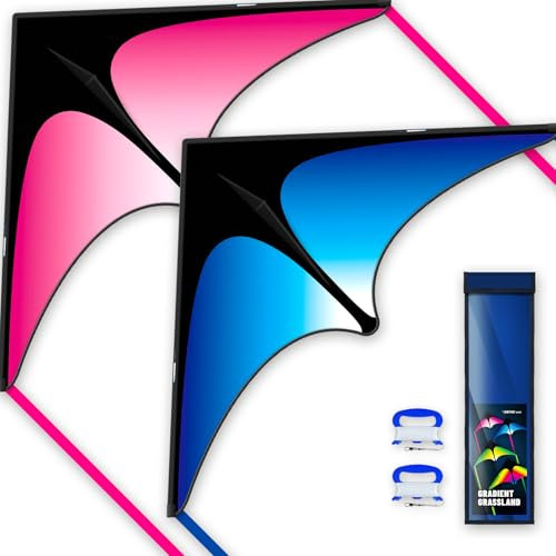 SGftre Delta Drachen Für Kinder Und Erwachsene,Er Lässt Sich Leicht Fliegen Extrem,Einfach Zu Fliegender Familiendrachen Mit Langer Schnur, Ideal Für Park Und Strand, Blau & Rosa (2 Stück)