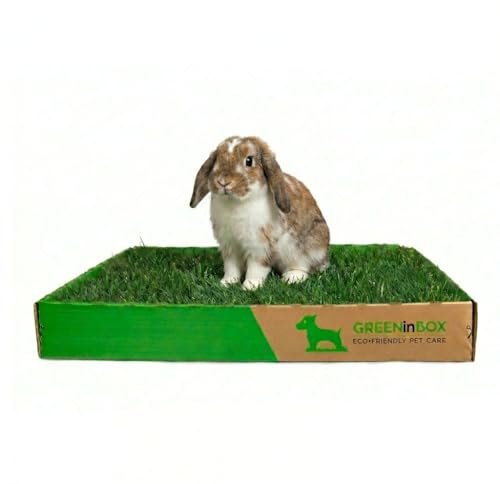 GreenInBox® Bunny - Zolla in Vera Erba per Conigli, Cavie e Roditori – Prato Naturale che si Rigenera, Lettiera e Zona Pascolo, 60x40 cm