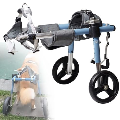 UIHECTA Verstellbarer Kleiner Hunderollstuhl, HunderollstüHle FüR Jedes GeläNde, FahrradanhäNger FüR Hunde, Leichte Trainingshilfe FüR Haustiere, 2 Rad Hundewagen, FüR Die Hinterbeine,Blau,XXL