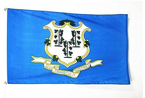 AZ FLAG - Flagge Connecticut - 150x90 cm - Bundesstaat Connecticut Fahne 100% Polyester mit Messing-Ösen - 110g
