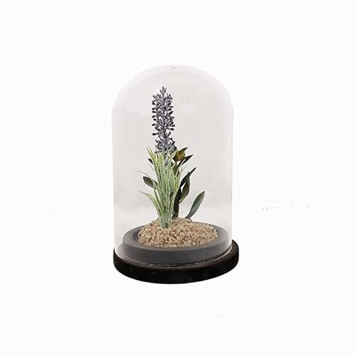 Silumen Plante Artificielle sous Cloche en Verre 13x19cm - Motif 1