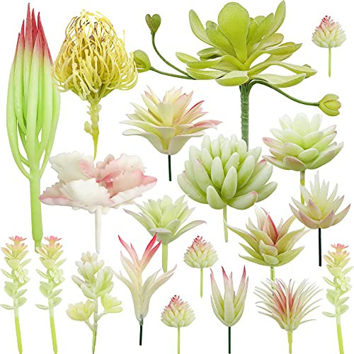 NA Woohome 20 Stück Sukkulenten Künstlich Cremeweiß Künstliche Sukkulenten Blumen Pflanzen Unfotted Faux Blume Sukkulenten, Gelegentliche Künstliche Sukkulenten für Heimdeko Innenbereich Garten