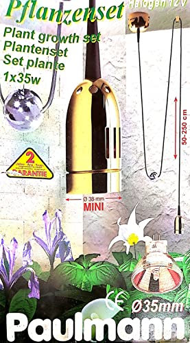 Paulmann Pflanzenset 50338 230V/12V 35W Pendel mit Abhängung Gold/Messing Alu