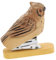 DIYEAH Pinzatrice Per Animali Pulisci Computer Mini Pinzatrice Porta Occhiali Per Auto Gadget Portatili Unici Artigianato Creativo Con Animali Spillatrici Strane Per Braccio