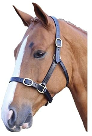 Shires Blenheim vollständig Verstellbare Leder Halfter schwarz oder braun wählen Größe schwarz schwarz Kaltblut / Warmblut extragroß