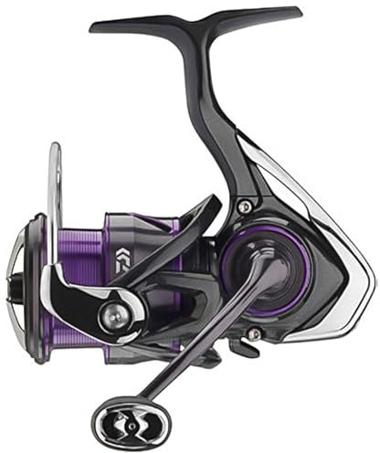 Daiwa 22 Prorex V Lt 4000-Cxh - Angelrolle, Spinnrolle zum Raubfischangeln, Rolle zum Spinnfischen