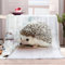 Weiche Kuscheldecke 150x200cm, Flauschige Flanell Warmes Wohndecke Tierischer SüßEr Igel Sofadecke Tagesdecke Helle Farbe Flauschdecke Waschbar Für Kinder Jungen Erwachsene