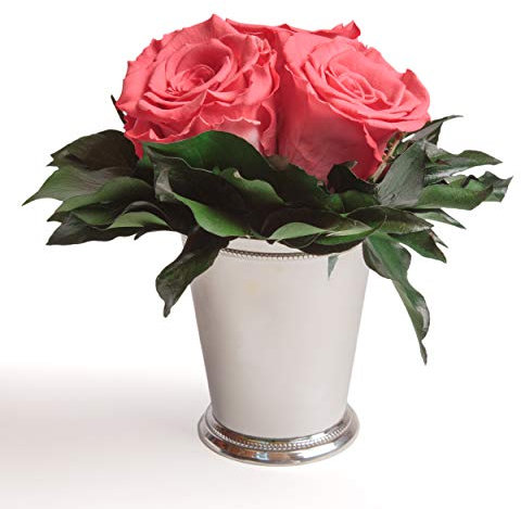 ROSEMARIE SCHULZ Heidelberg Infinity Blume in Becher silberfarben 3 langhaltende Rose konserviert Rosenbox (Koralle, 3 Rosen)