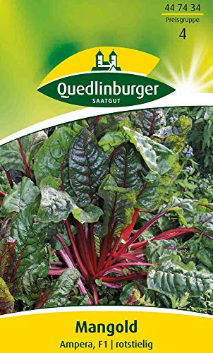 Quedlinburger 447434 Mangold Ampera F1 (Mangoldsamen)