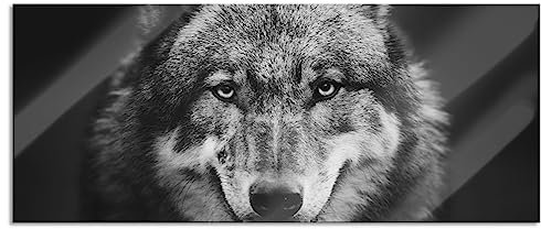 Pixxprint Glasbild Panorama, Wandbild aus Echtglas, Nahaufnahme Wolf mit offener Schnauze, 100x40 cm, inkl. Aufhängung und Abstandshalter