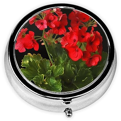 Red Geraniums Pill Box Portable Round Metal Pill Case 3 Compartment Small Tablet Box for Purse or Pocket Pill Organizer Medicine Vitamin Organizer Unique Gift