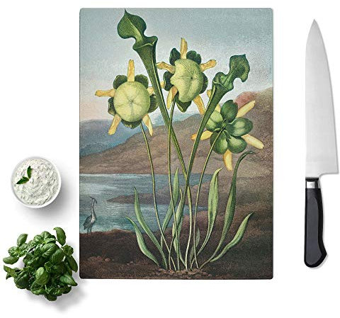 Glass Chopping Board - Pitcher Plant by R.J. Thornton - Textured Worktop Saver Cutting Board - Heat Resistant, Shatterproof and Hygenic - 39 x 28.5 cm